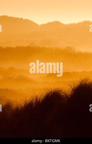 In Zonsopkomst vroeg voorjaar vanaf hoog duin over oude duinen en duinvaleien incontrato nevel en mist.Ter Foto Stock