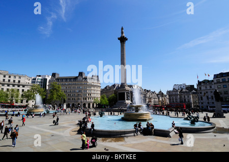 Trafalgar Square e Nelson's Colonna, London, England, Regno Unito Foto Stock