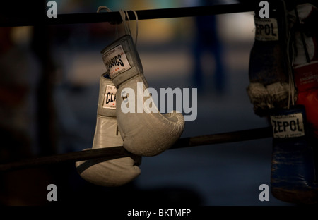 Guantoni da boxe da appendere in un anello di inscatolamento a Diaz Miron palestra in Città del Messico, 8 dicembre 2009. Foto Stock