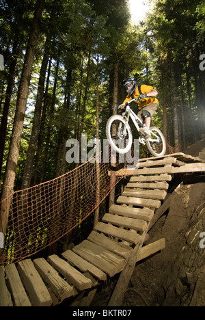 In discesa in mountain bike nel mondo famoso Whistler Bike Park di Whistler, BC, Canada Foto Stock