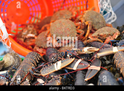 Mercato del Pesce di Parigi, scampi e granchi Foto Stock