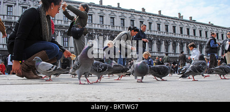 Turisti e Piccioni in Piazza San Marco, Venezia, Italia Foto Stock