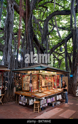 Pressione di stallo di gioielli e Giant Banyan Tree nel mercato internazionale in Waikiki, Honolulu, Hawaii Foto Stock