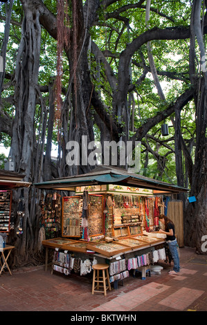 Pressione di stallo di gioielli e Giant Banyan Tree nel mercato internazionale in Waikiki, Honolulu, Hawaii Foto Stock
