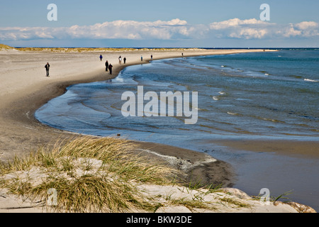 Grenen, la punta northmost dello Jutland in Danimarca Foto Stock