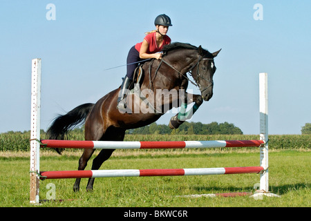 Giovane donna cavallo su warmblood bavarese cavallo Foto Stock