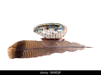 Asciugare la salvia in un guscio di abalone con una Turchia giù. Tradizionalmente utilizzate in nativi americani e rituali pagani per la formazione di macchie. Foto Stock