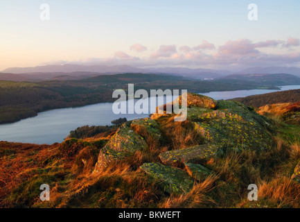 Ultima luce del tramonto sulle rocce di Gummer è come si affaccia Windermere nel Lake District inglese Foto Stock