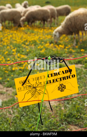 Recinzione elettrificata. L'ESPLUGA Calba (Lleida) Spagna. Foto Stock