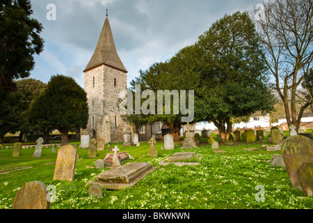 La molla di primule nel cimitero della chiesa parrocchiale di San Pietro e di San Andrea in Old Windsor, Regno Unito Foto Stock