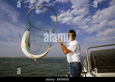 La pesca dello scorfano di Norvegia nella Laguna Madre Bay è una delle attività più popolari su Padre Island, Texas Foto Stock