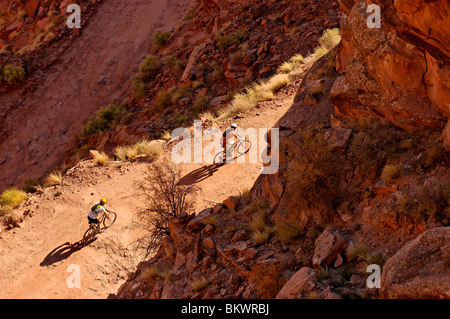 Fotografia di stock di due appassionati di mountain bike su Shafer Trail Strada in Island in the Sky area di Canyonlands National Park nello Utah Stati Uniti d'America Foto Stock