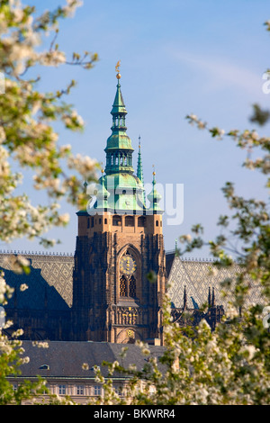 Praga, Repubblica ceca - st. La cattedrale di San Vito e al castello di hradcany in primavera Foto Stock