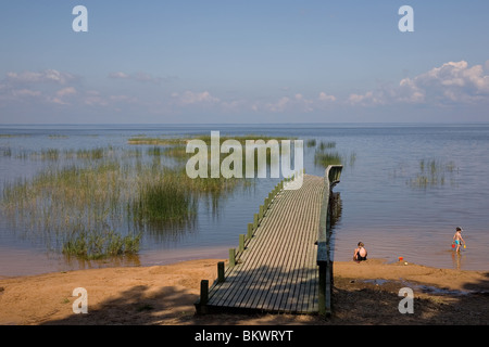 Lago Võrtsjärv vicino Vehendi, Contea di Tartu, Estonia, Europa Foto Stock