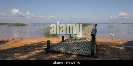 Lago Võrtsjärv vicino Vehendi, Contea di Tartu, Estonia, Europa Foto Stock