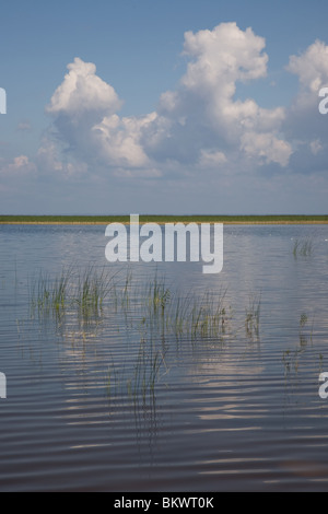 Lago Võrtsjärv vicino Vehendi, Contea di Tartu, Estonia, Europa Foto Stock