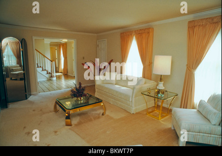 Pittsburgh, Pennsylvania, USA Residential Architecture, American Suburban House, all'interno, soggiorno di classe media con interni in stile anni '1980 Foto Stock