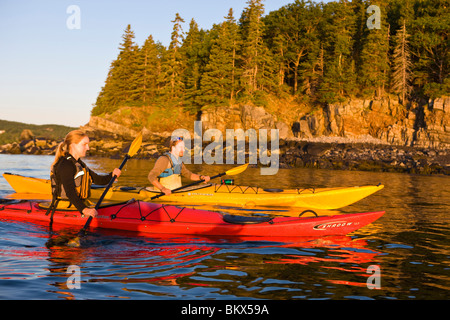 Un uomo e una donna kayak di mare nei pressi di pecore Porcupine isola nel Maine il Parco Nazionale di Acadia. Bar Harbor. Foto Stock
