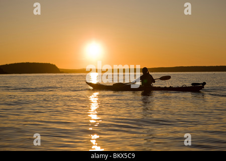 Una donna kayak di mare nei pressi di pecore Porcupine isola nel Maine il Parco Nazionale di Acadia. Bar Harbor. Sunrise. Foto Stock