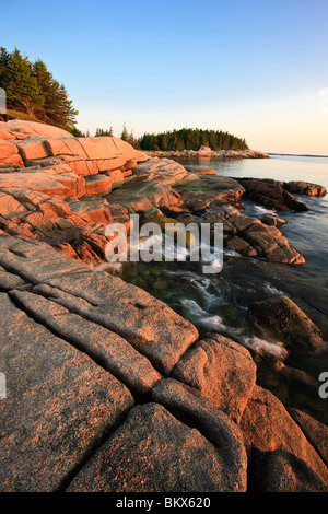 La mattina presto sulla costa del Maine il grande Wass isola vicino Jonesport. Nature Conservancy preservare. Foto Stock