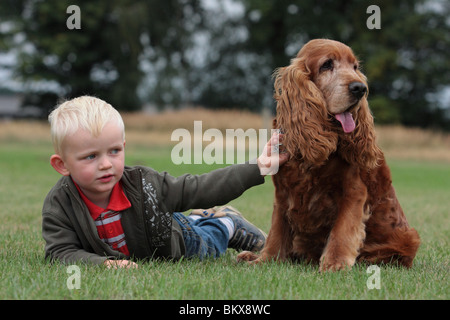 Ragazzo e Cocker Spaniel Foto Stock