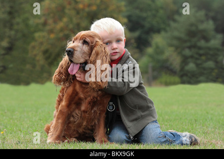 Ragazzo e Cocker Spaniel Foto Stock