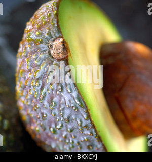 Avocado Foto Stock