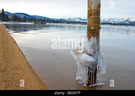 Ghiaccioli che gocciola dalla pole in acque poco profonde del lago Tahoe all'alba, South Lake Tahoe, Nevada, Stati Uniti d'America. Foto Stock