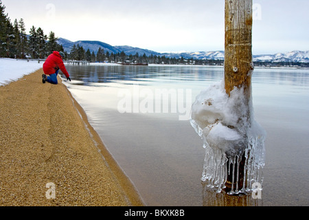 L'uomo raggiunge per acqua dietro vista di ghiaccioli che gocciola dalla pole in acque poco profonde del lago Tahoe all'alba Foto Stock