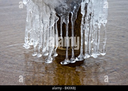 Ghiaccioli che gocciola dalla pole in acque poco profonde del lago Tahoe all'alba, South Lake Tahoe, Nevada, Stati Uniti d'America. Foto Stock