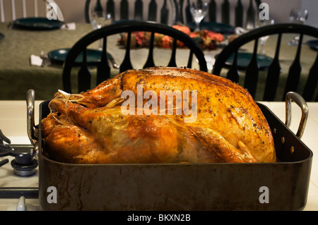 Un arrosto splendidamente la Turchia ancora nella teglia è pronta per essere servita per una occasione speciale. Foto Stock