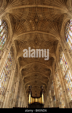 Vaulting a Cappella del King's College di Cambridge, in Inghilterra UK. Foto Stock