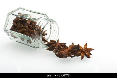 Anice stellato (Illicium verum) la fuoriuscita del vaso su sfondo bianco Foto Stock