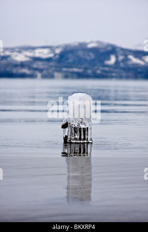 Ghiaccioli che gocciola dalla pole in acque poco profonde del lago Tahoe all'alba, South Lake Tahoe, Nevada, Stati Uniti d'America. Foto Stock