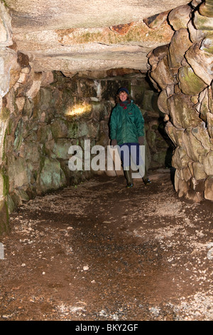 Fogou a Carn Euny; Cornovaglia Foto Stock