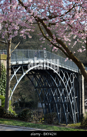 L'Ironbridge nello Shropshire England Regno Unito incorniciato in primavera sbocciano i fiori Foto Stock