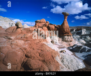 Toadstool Hoodoo Paria Rimrocks Winderness USA Utah Foto Stock