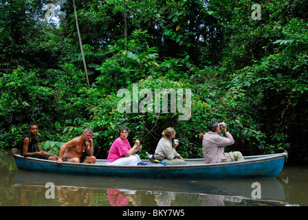 Gruppo di turisti kayak su un tour nel Parco Nazionale di Tortuguero, Costa Rica, America Centrale Foto Stock