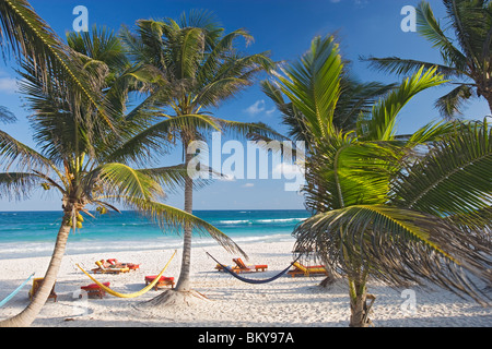 La spiaggia di Om Tulum Resort a Tulum, Stato di Quintana Roo, Penisola dello Yucatan, Messico Foto Stock