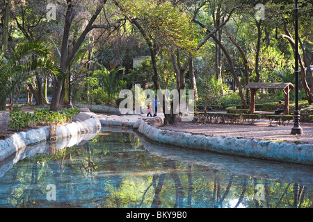 Canal nel Parque Mexico, Città del Messico, Messico D.F., Messico Foto Stock