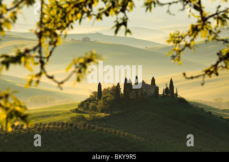 Visualizzare attraverso la fronda, Belvedere agriturismo e campagna toscana, nei pressi di San Quirico d'Orcia in Toscana in Italia Foto Stock