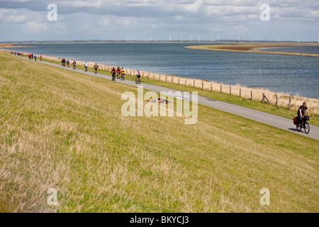 I ciclisti sulla diga, Beltringharder Koog, Luettmoorsiel, Nordstrand, Schleswig-Holstein, Germania Foto Stock