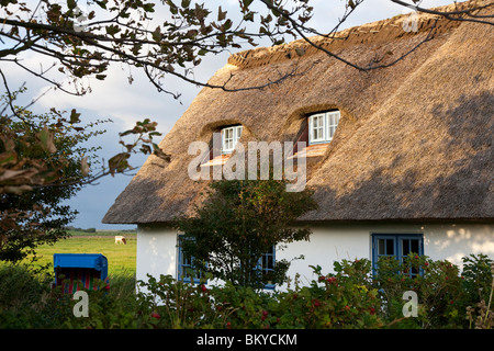 Frisone house, Alte Kirche, isola di Pellworm, Schleswig-Holstein, Germania Foto Stock