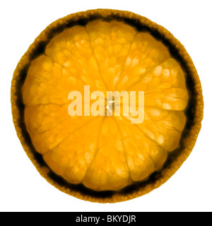 Strato sottile di colore arancione accesa da dietro. Isolati contro il bianco. Foto Stock
