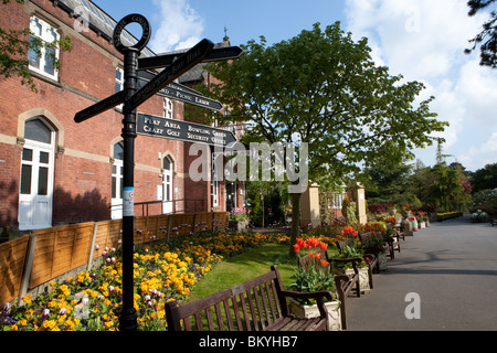 I tulipani in fiore nel giardino botanico, churchtown, Southport, Merseyside, Regno Unito Foto Stock