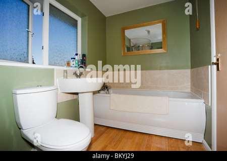 Piccolo bagno con pareti verdi e suite bianca con servizi igienici in ceramica, lavabo e vasca. Inghilterra, Regno Unito, Gran Bretagna. Foto Stock