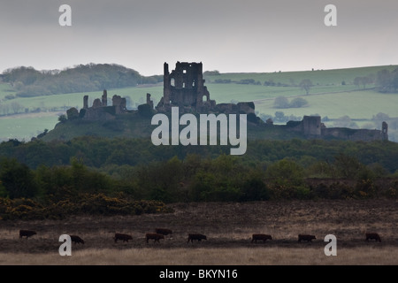 Rovine di Corfe Castle attraverso Hartland Moor, Dorset, Regno Unito. Foto Stock