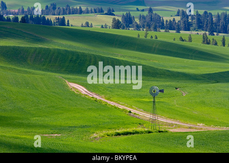 Whitman County, WA mulino e la strada sterrata annidata in una valle tra il paese Palouse colline del Foto Stock