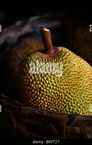 Close-up di Jackfruit Foto Stock