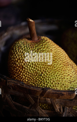 Close-up di Jackfruit Foto Stock